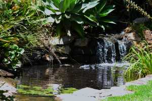 carrick hill 2014 (74)